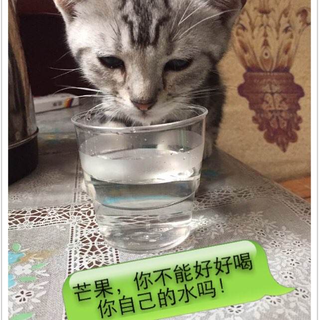 林登沃德大学学位证办理